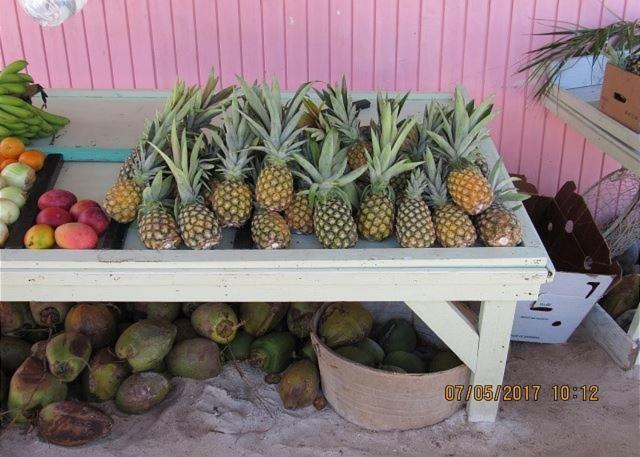 Pink Sand Cottage Cottage North Palmetto Point Exterior photo